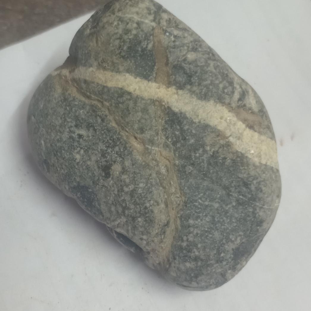 پیدا شده در جنگل