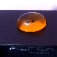 نگین
