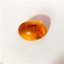 نگین