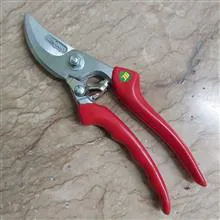 قیچی