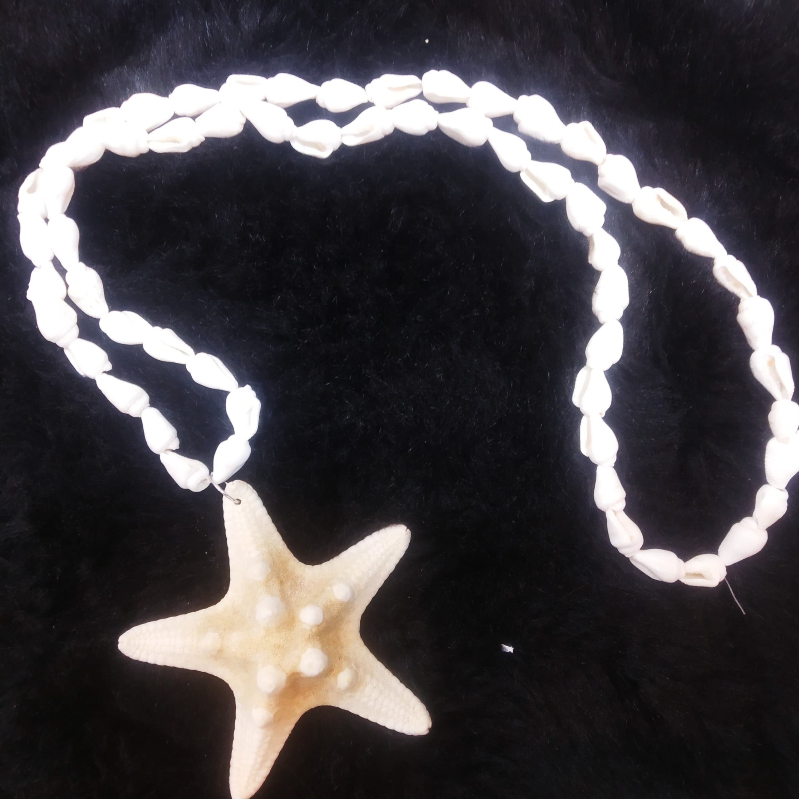 ست گوشواره گردنبند ستاره دریایی