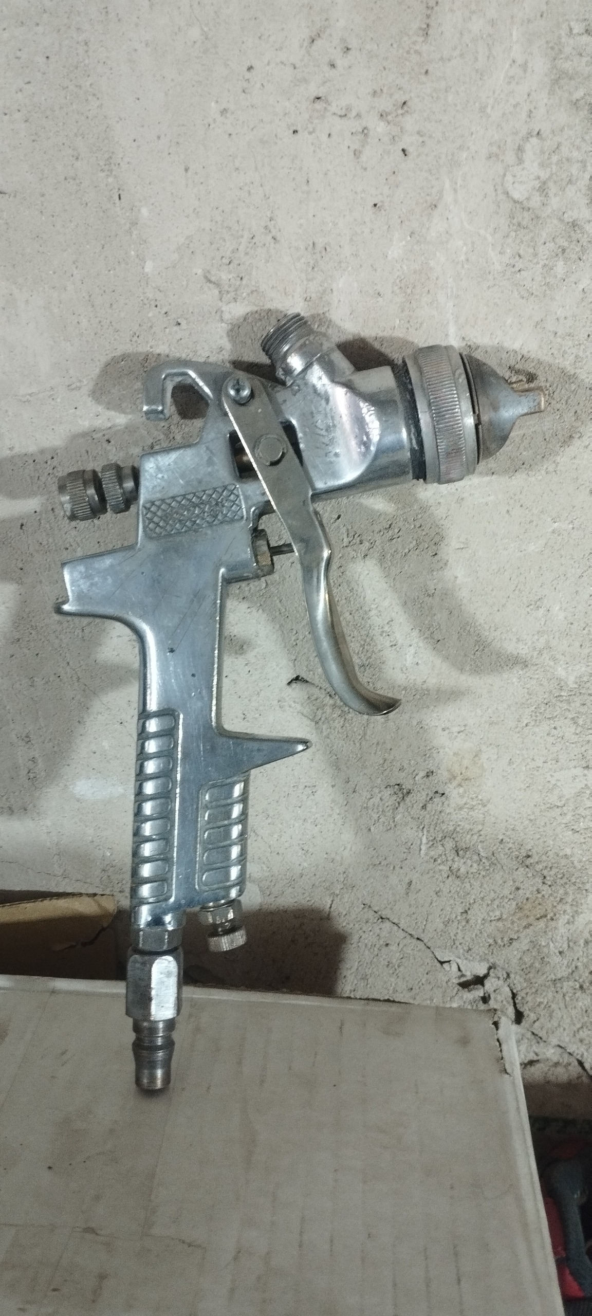 پیتسوله بادی کاسه بالا