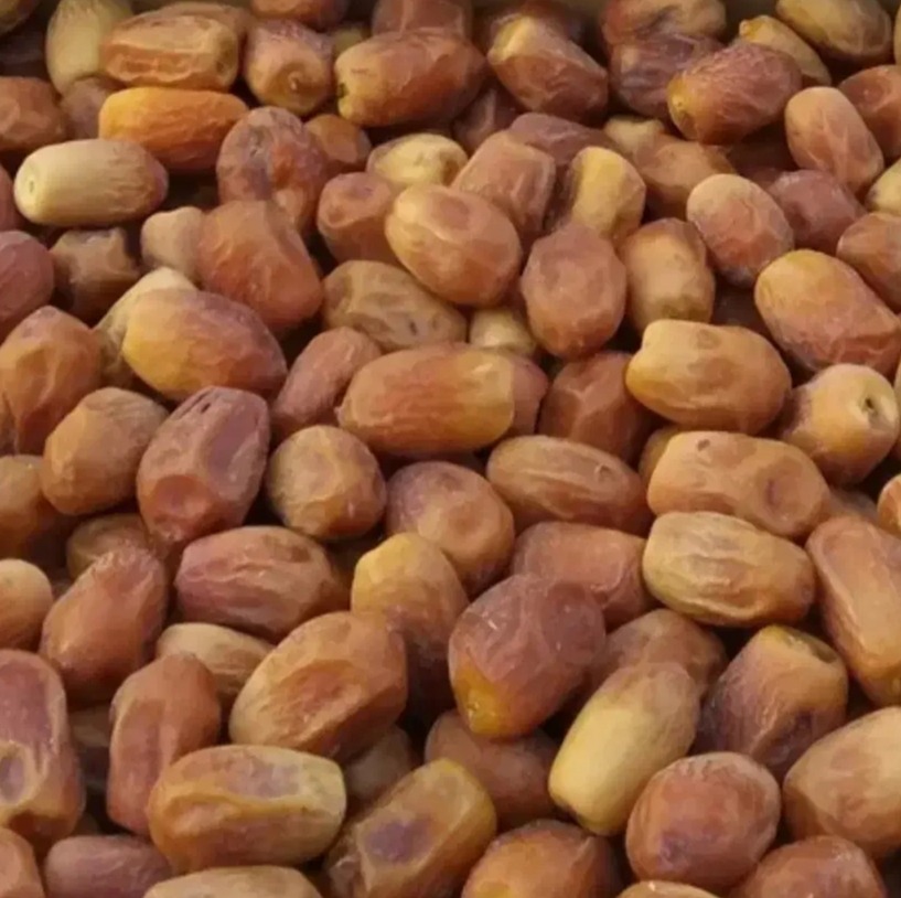 خرما زاهدی صادراتی اعلا ٪تخفیف