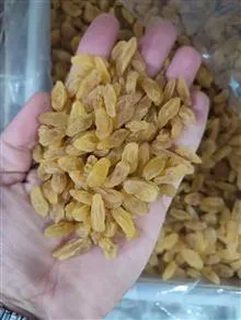 کشمش