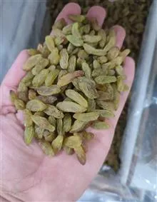 کشمش