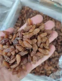 کشمش