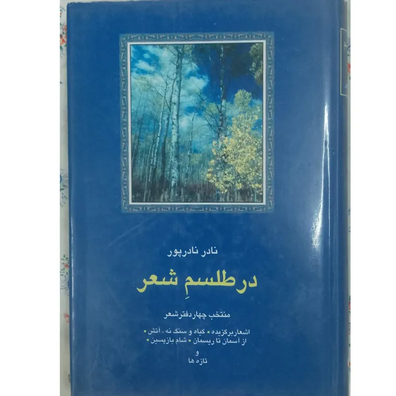 در شعر، نادر نادرپور