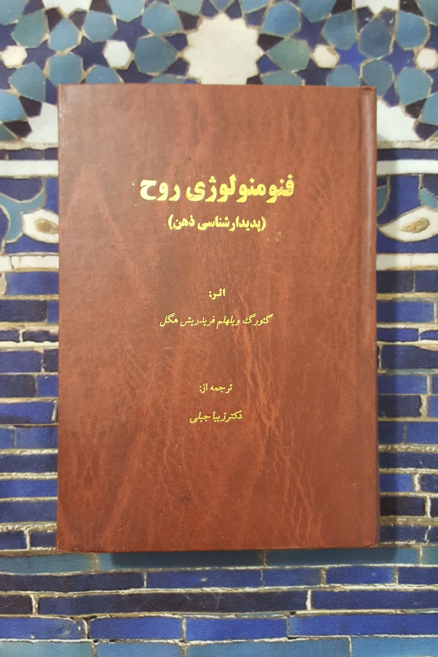 فنومنولوژی روح ( پدیدارشناسی ذهن )