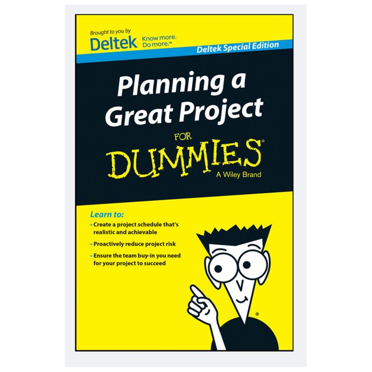 PDF کتاب Planning a Great Project For Dummies