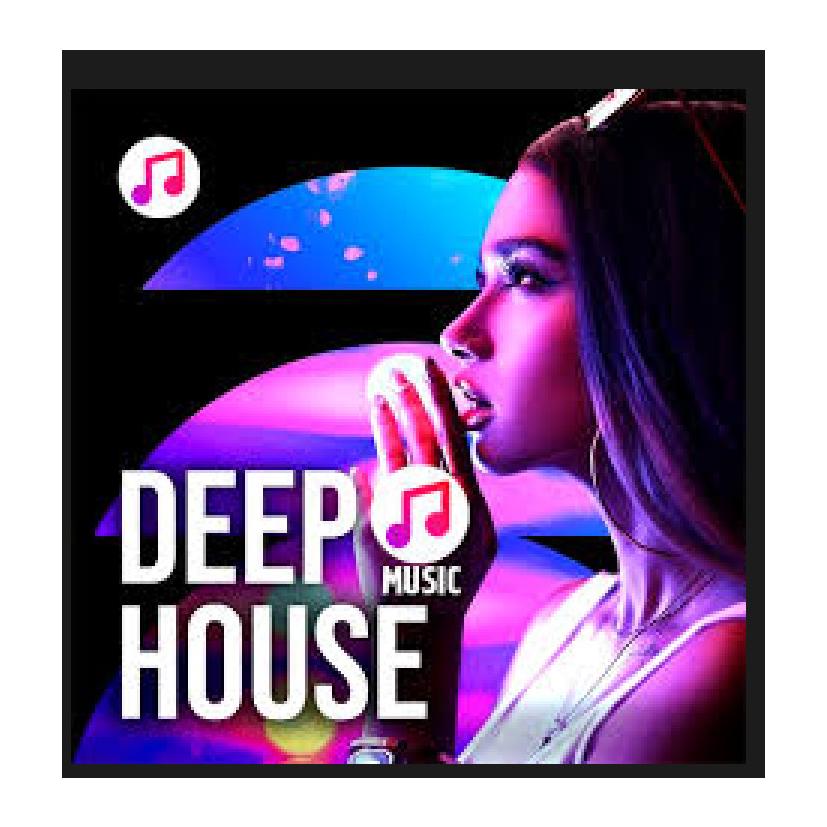 آلبوم آهنگ دیپ هاوس Deep House MP3