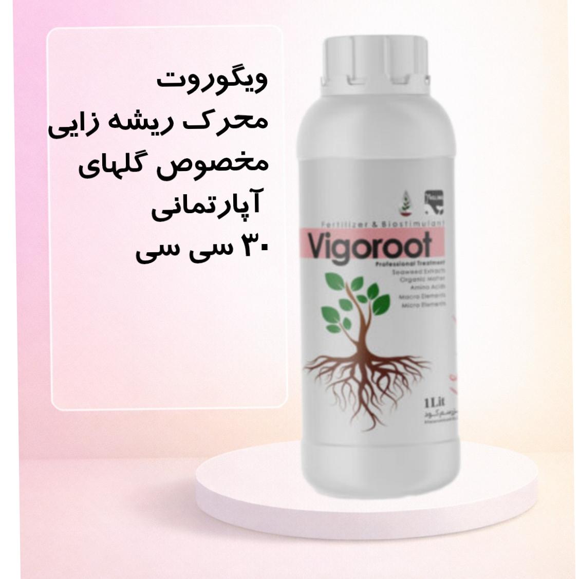 کود ریشه زا ویگوروت