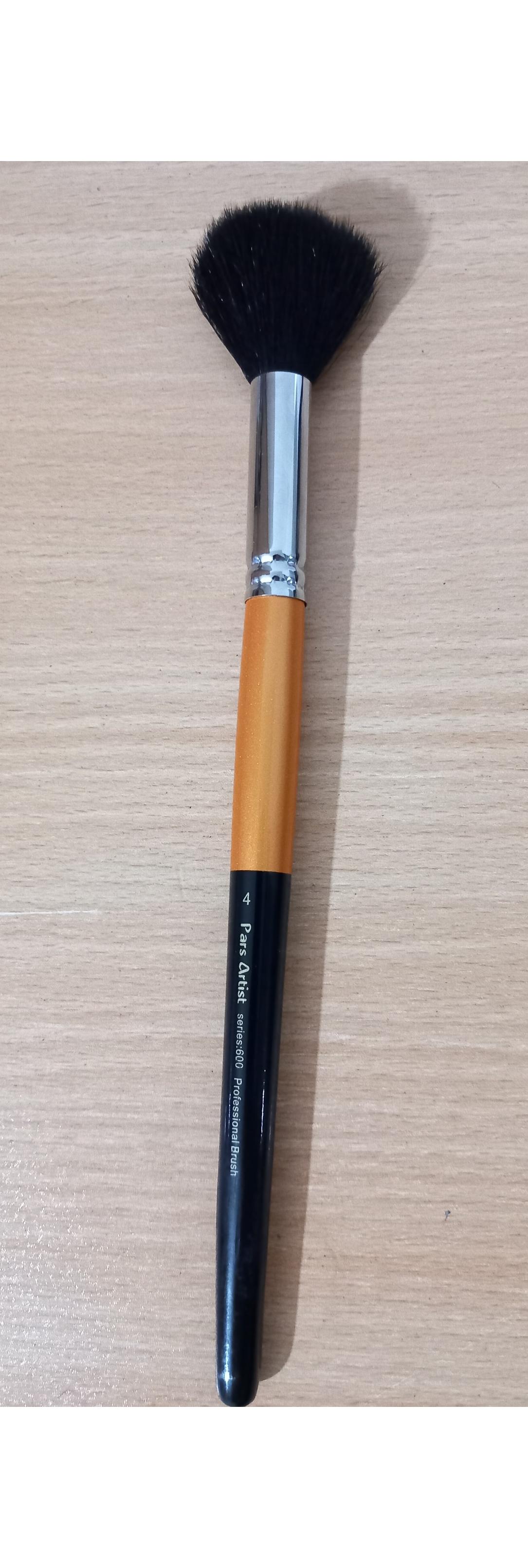 قلمو محو کن پارس آرتیست