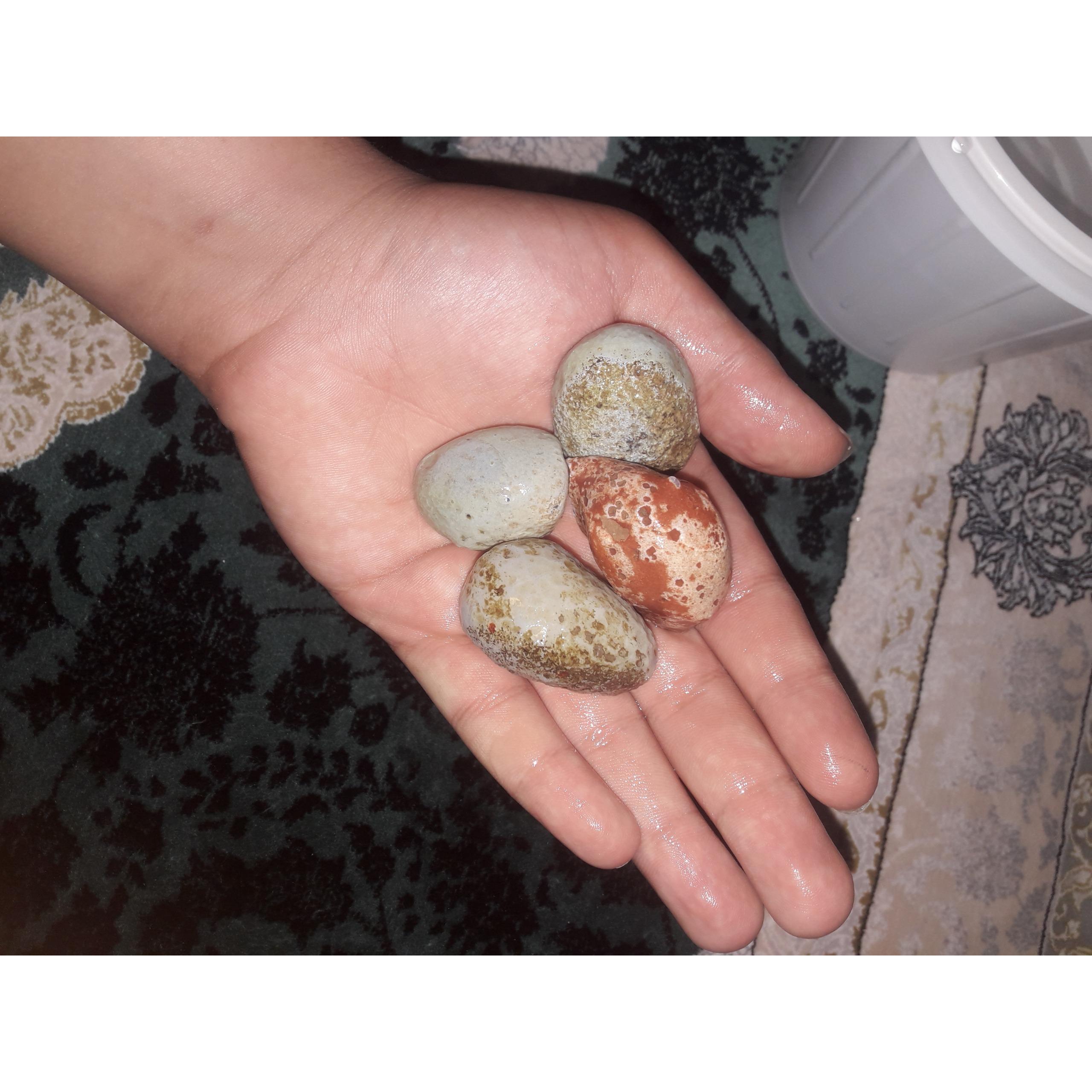 4 عدد عقیق توپی سلیمانی رنگی شانسی