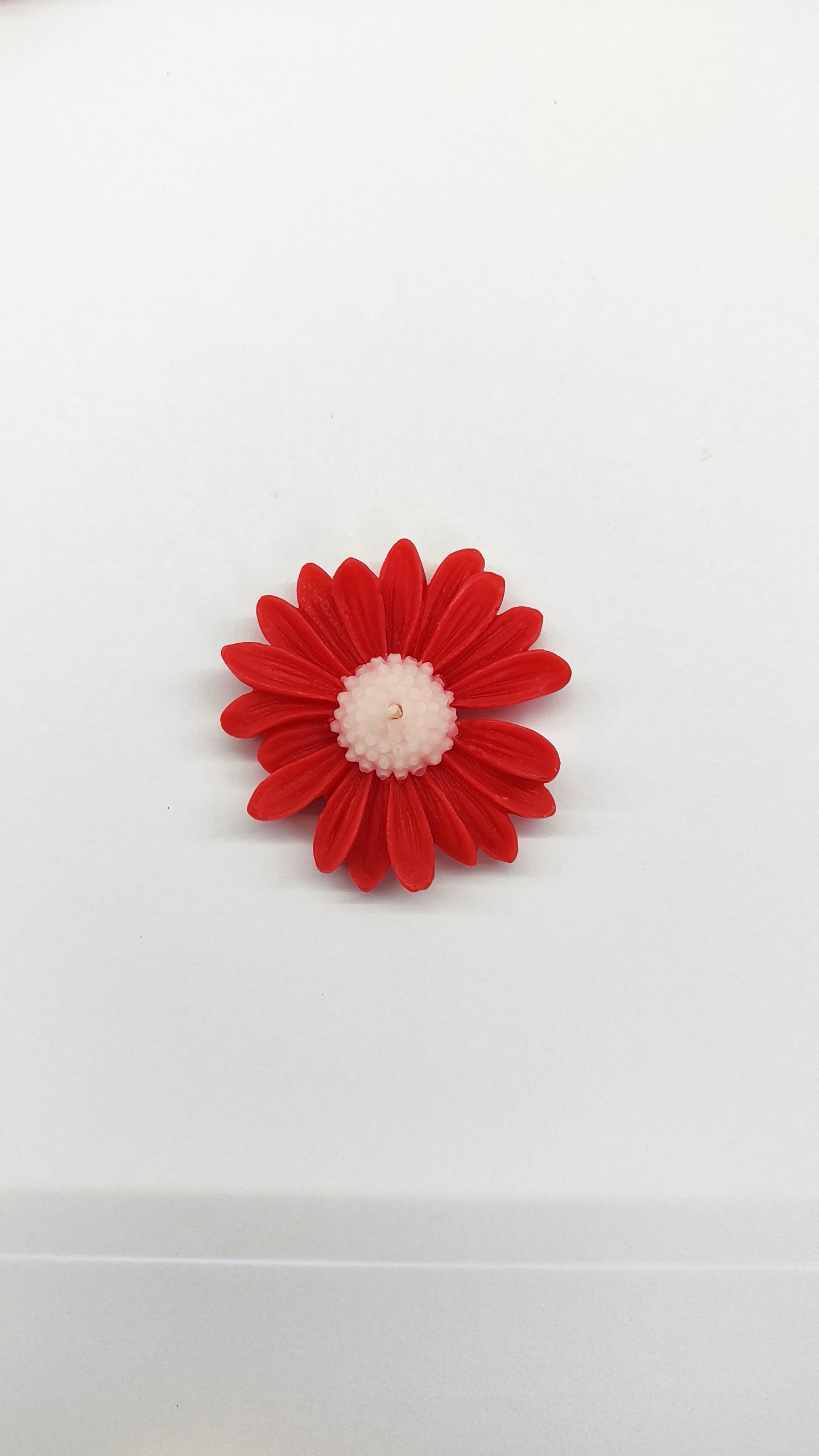 گیفت شمع بابونه