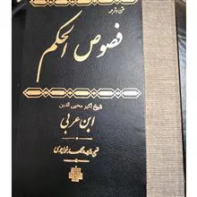 متن
