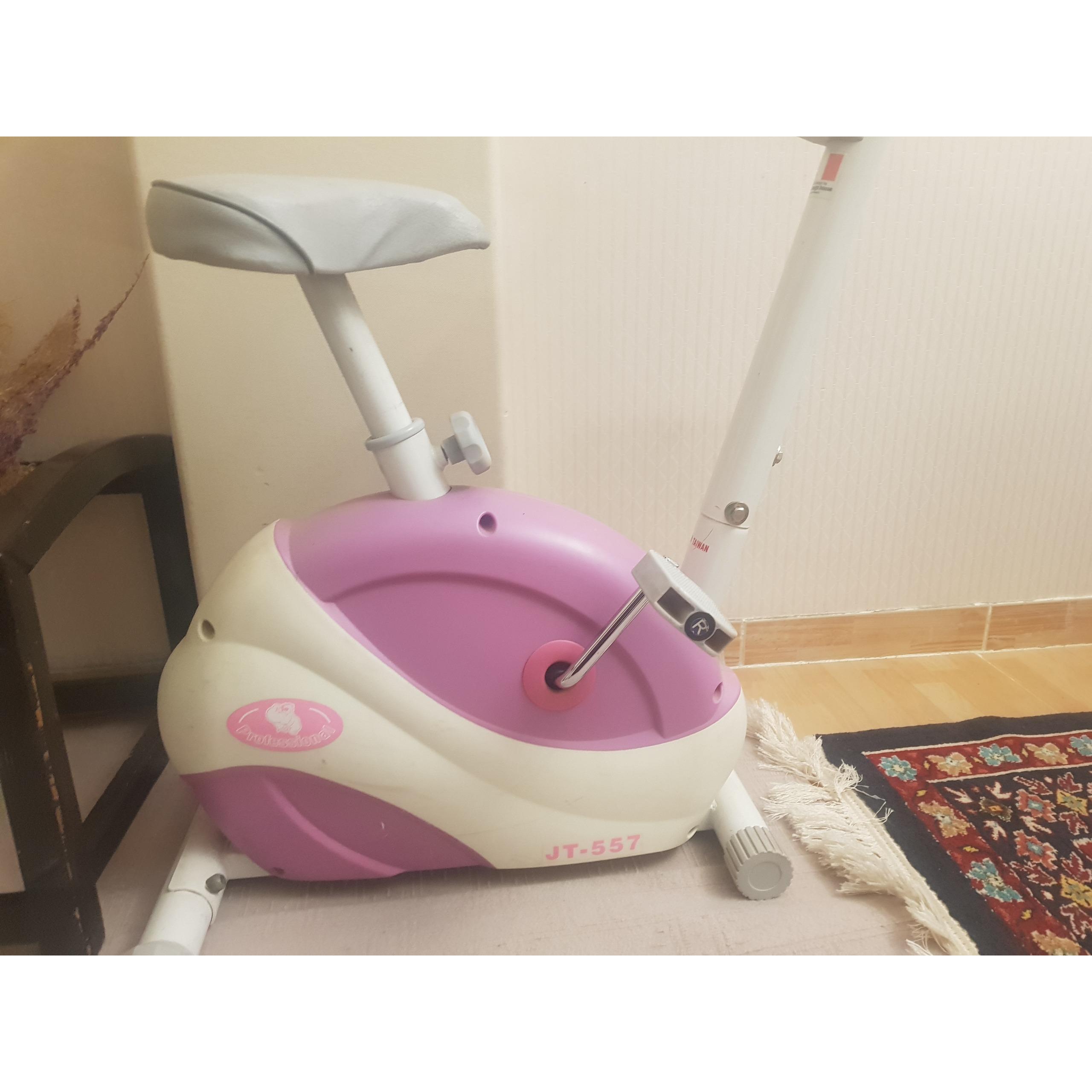 دوچرخه ثابت professional