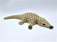 اسباب