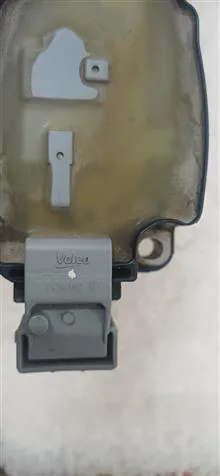 کوئل