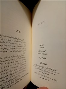 نقطه