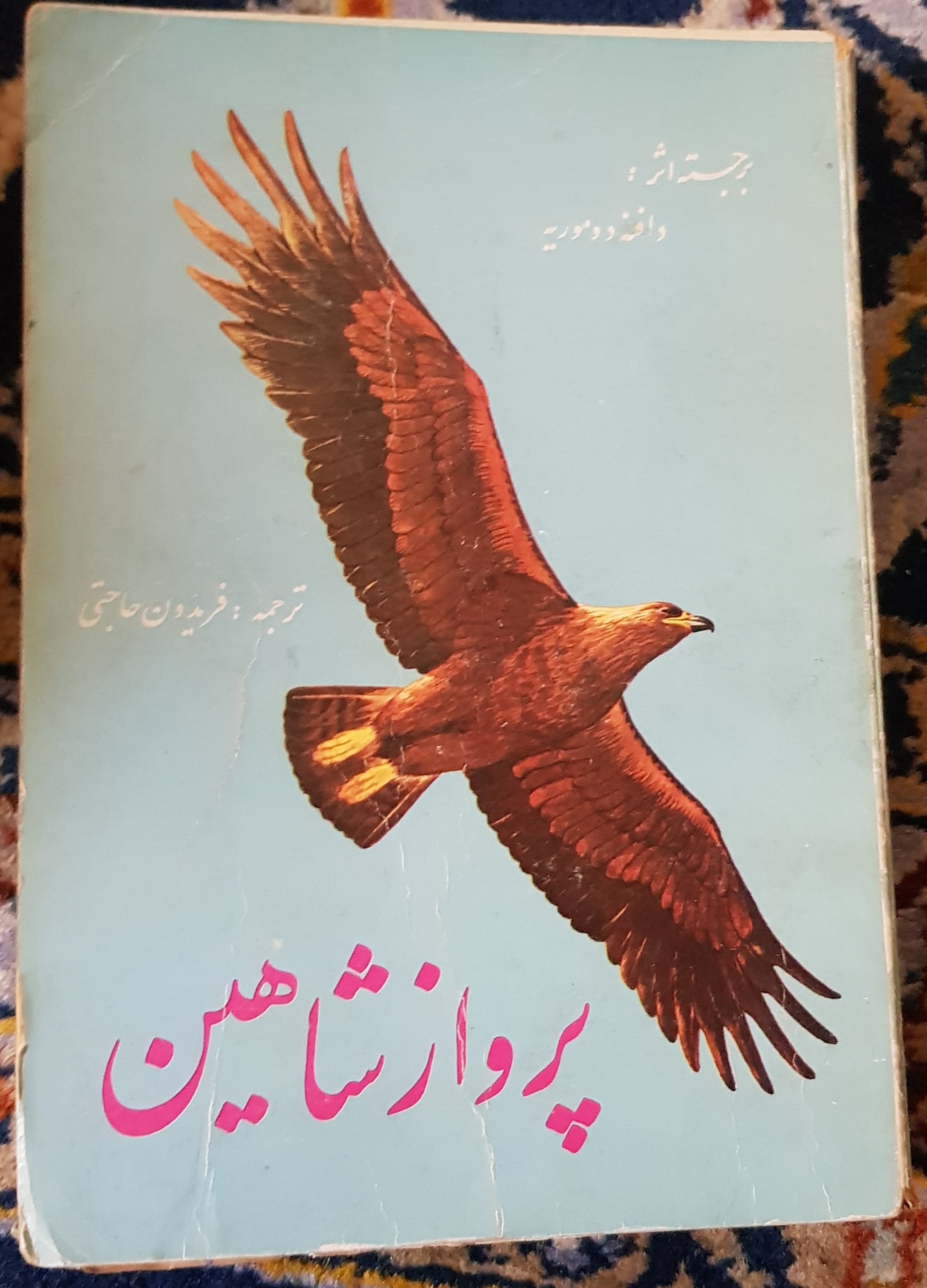 پرواز شاهین دافنه دوموریه