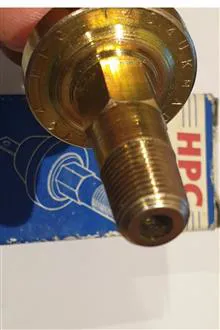 فشنگی