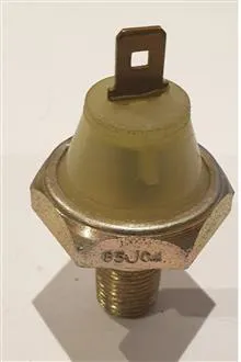 فشنگی