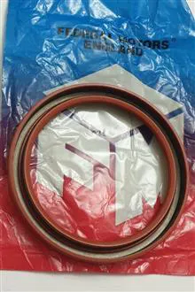 کاسه
