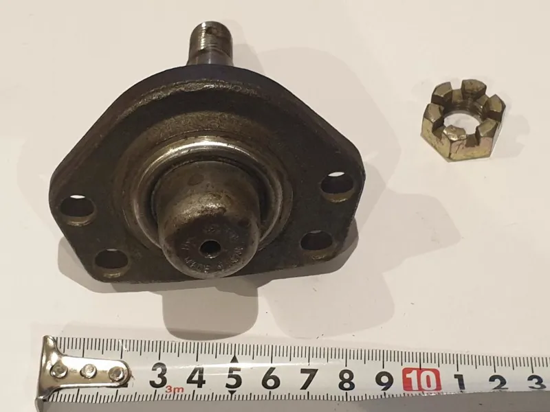 سیبک طبق / 555 ژاپن