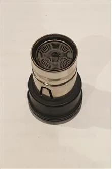 مغزی