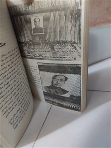 مائو