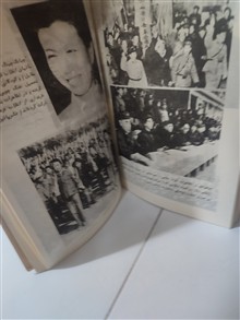 مائو