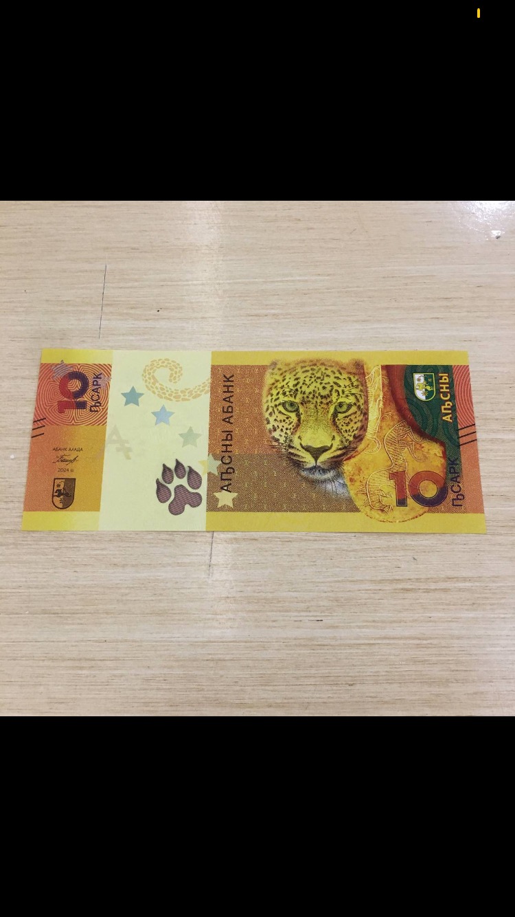 جفت بانکی 10 آپسار آبخازیا