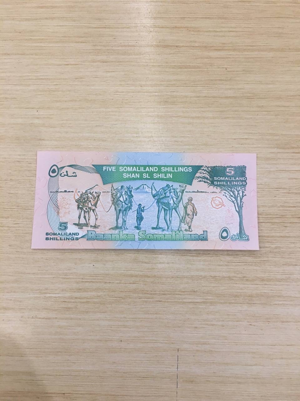 تک بانکی 5 شلن سومالی لند سایز بسیار کوچک