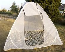پشه