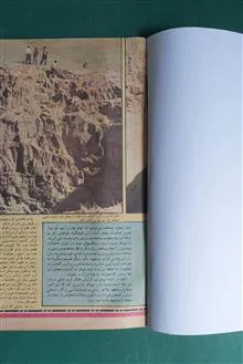 دانستنیها