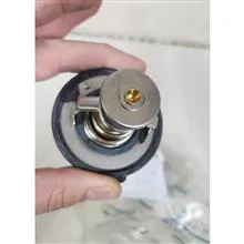 ترموستات