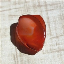 گردنی