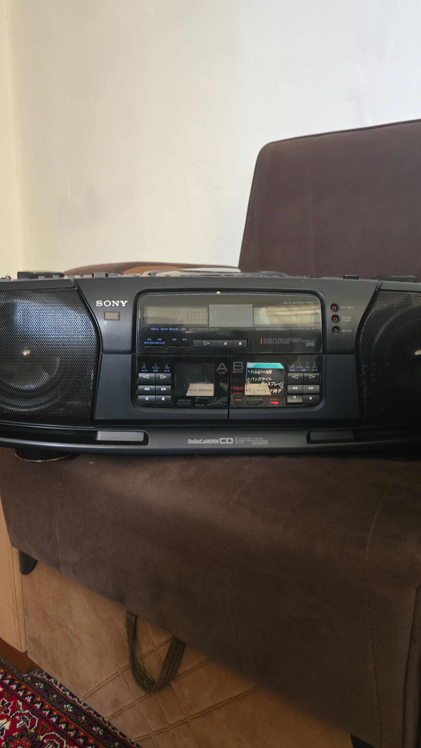 ظبط پرتابل سونی