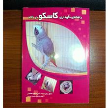 راهنمای