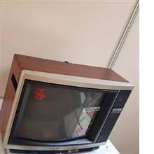 تلویزیون