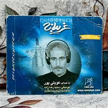 آلبوم
