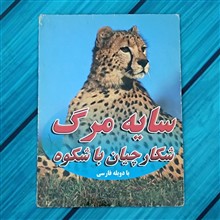 مستند