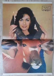 مجله