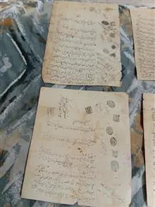 تعداد