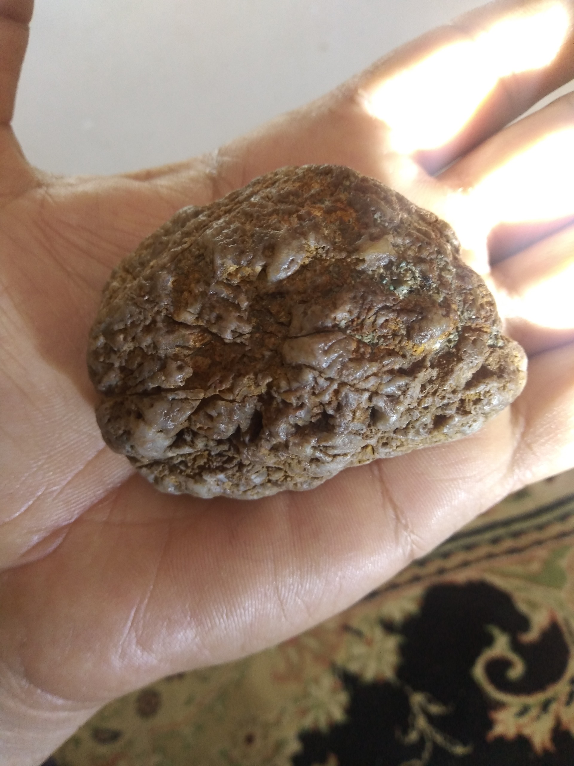 سنگ راف هزار