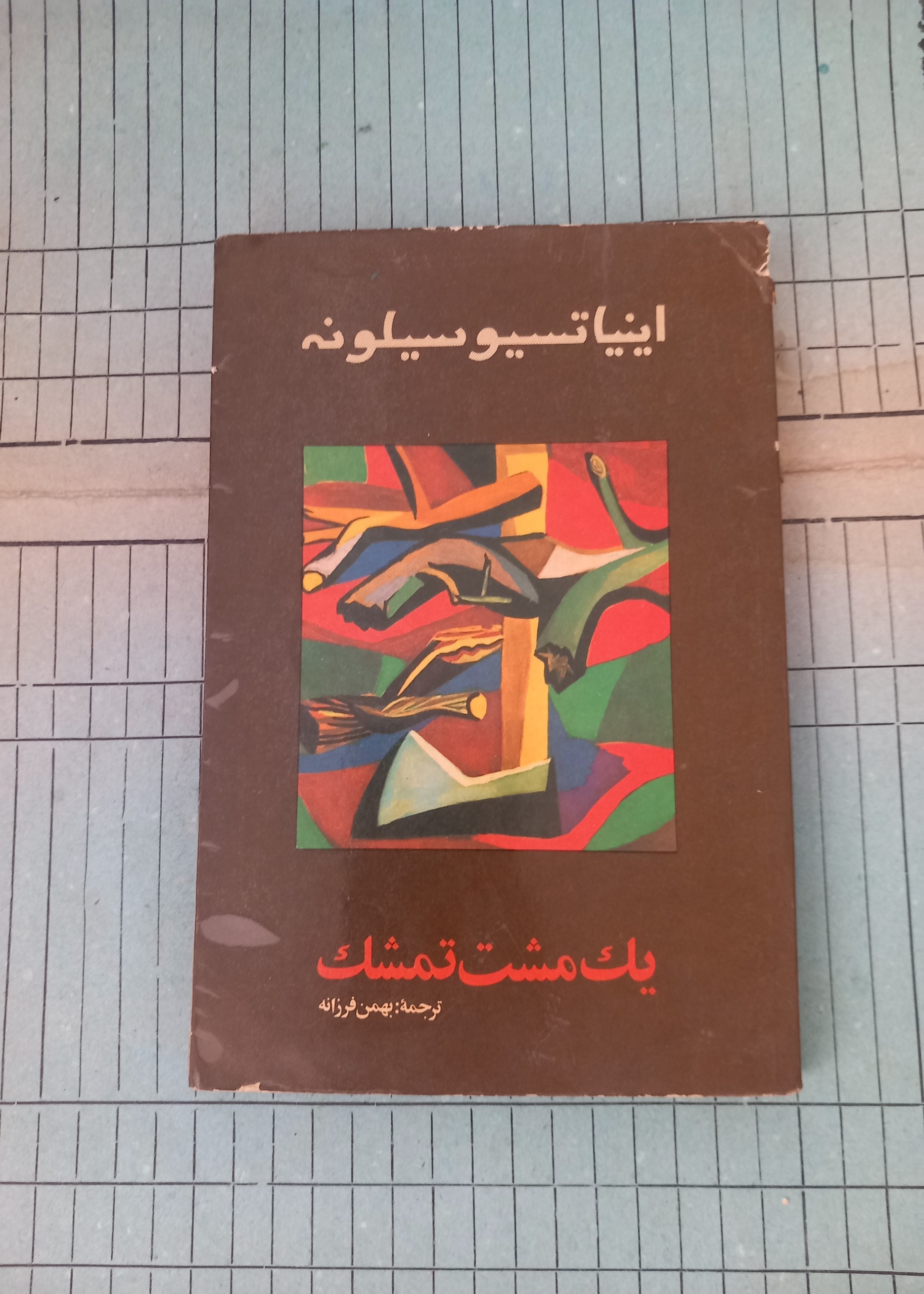 یک مشت تمشک . سیلونه .ترجمه فرزانه