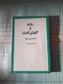 روباه