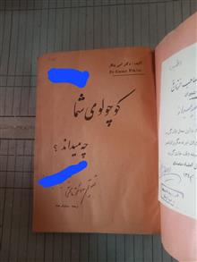کوچولوی