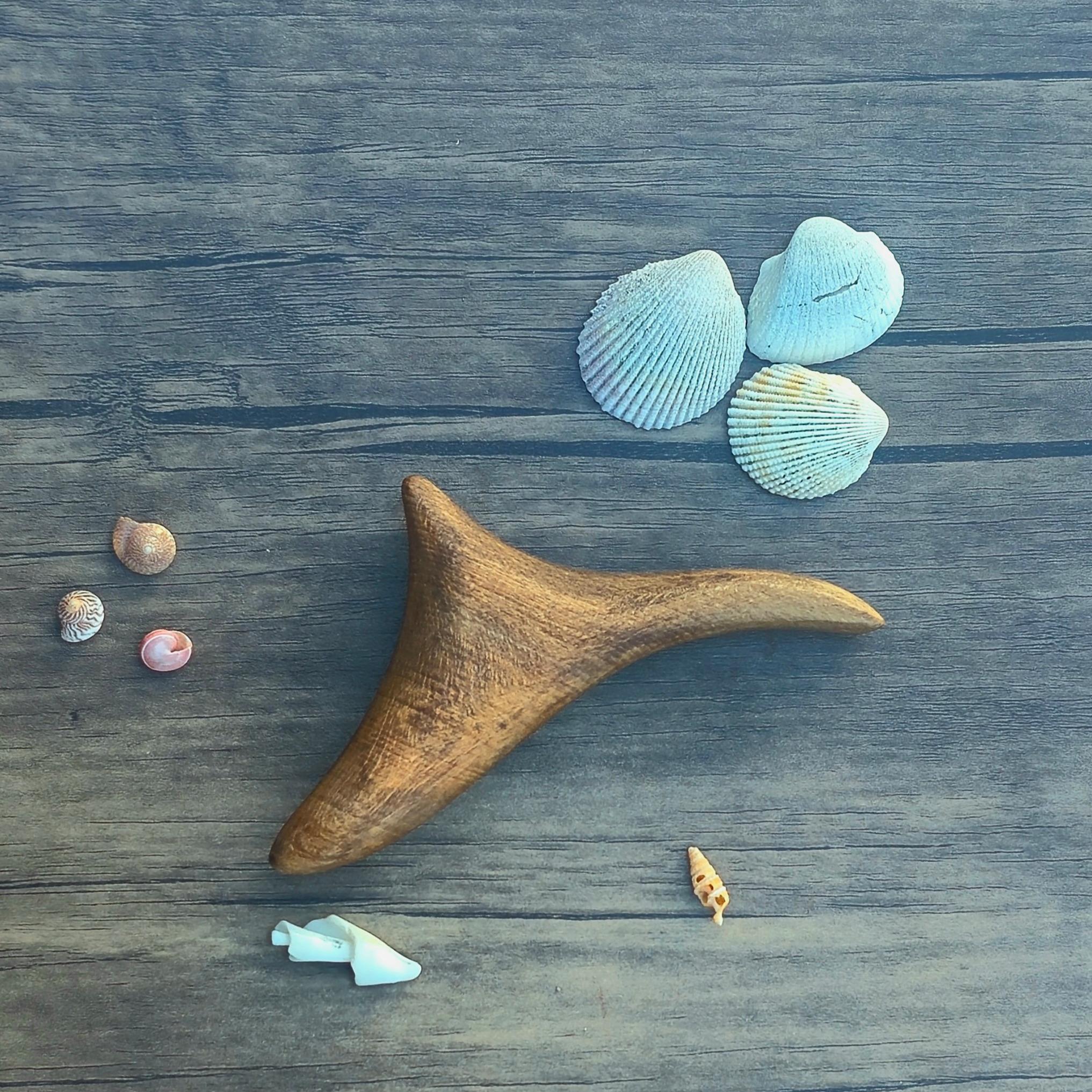 ماساژور دلفینی بدن