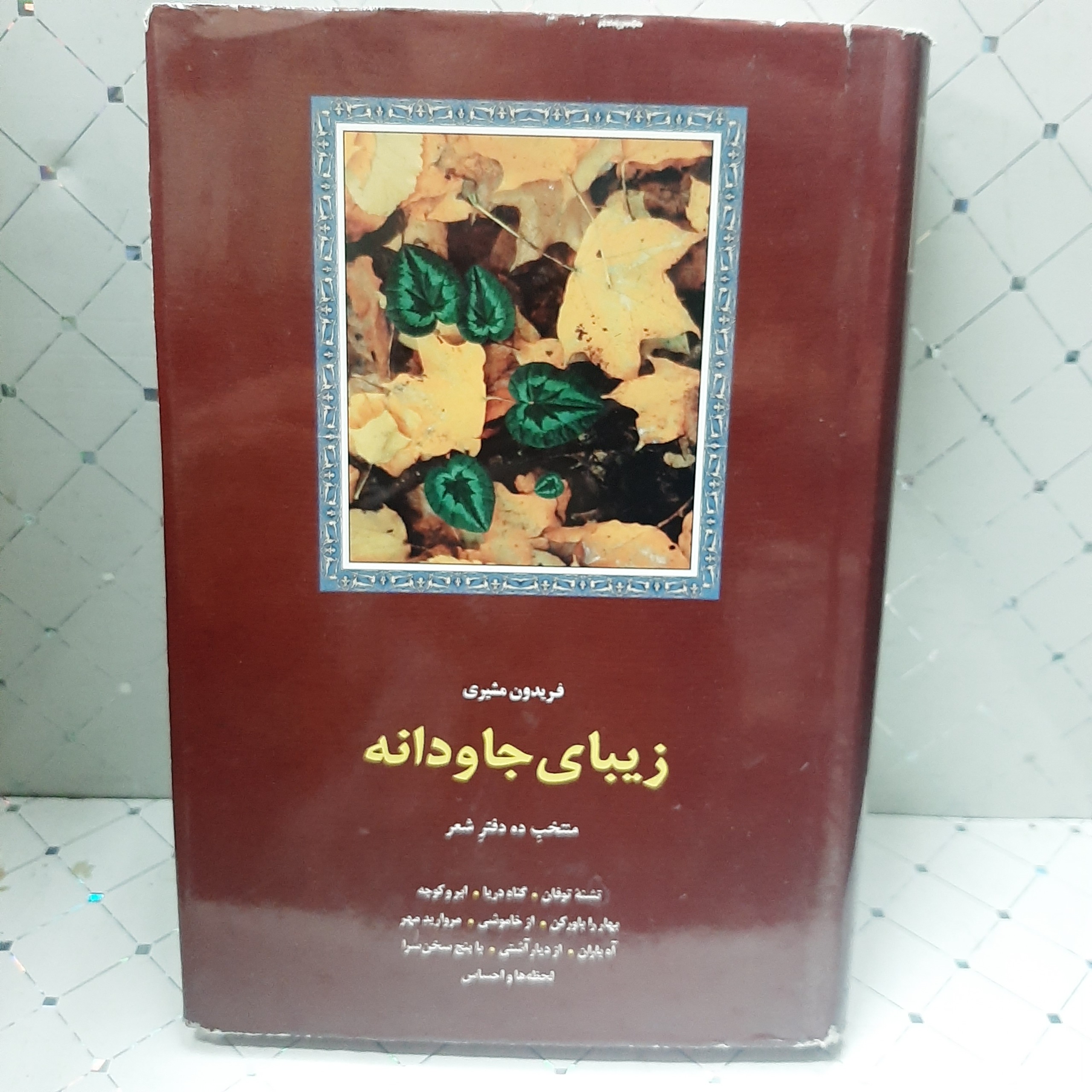 زیبای جاودانه فریدون مشیری